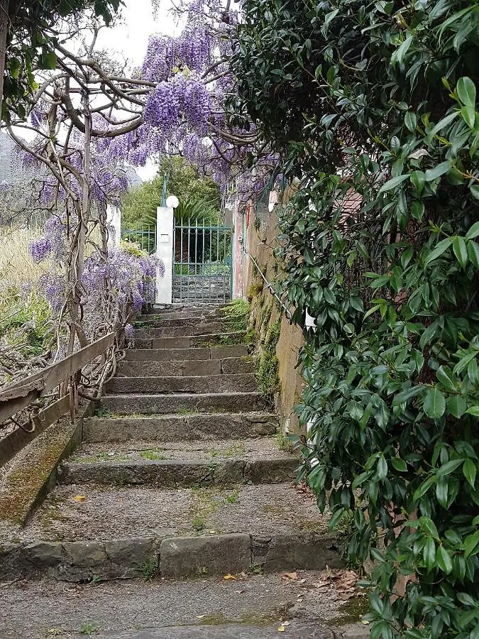 Casa Zagare Sul Mare Apartment Levanto